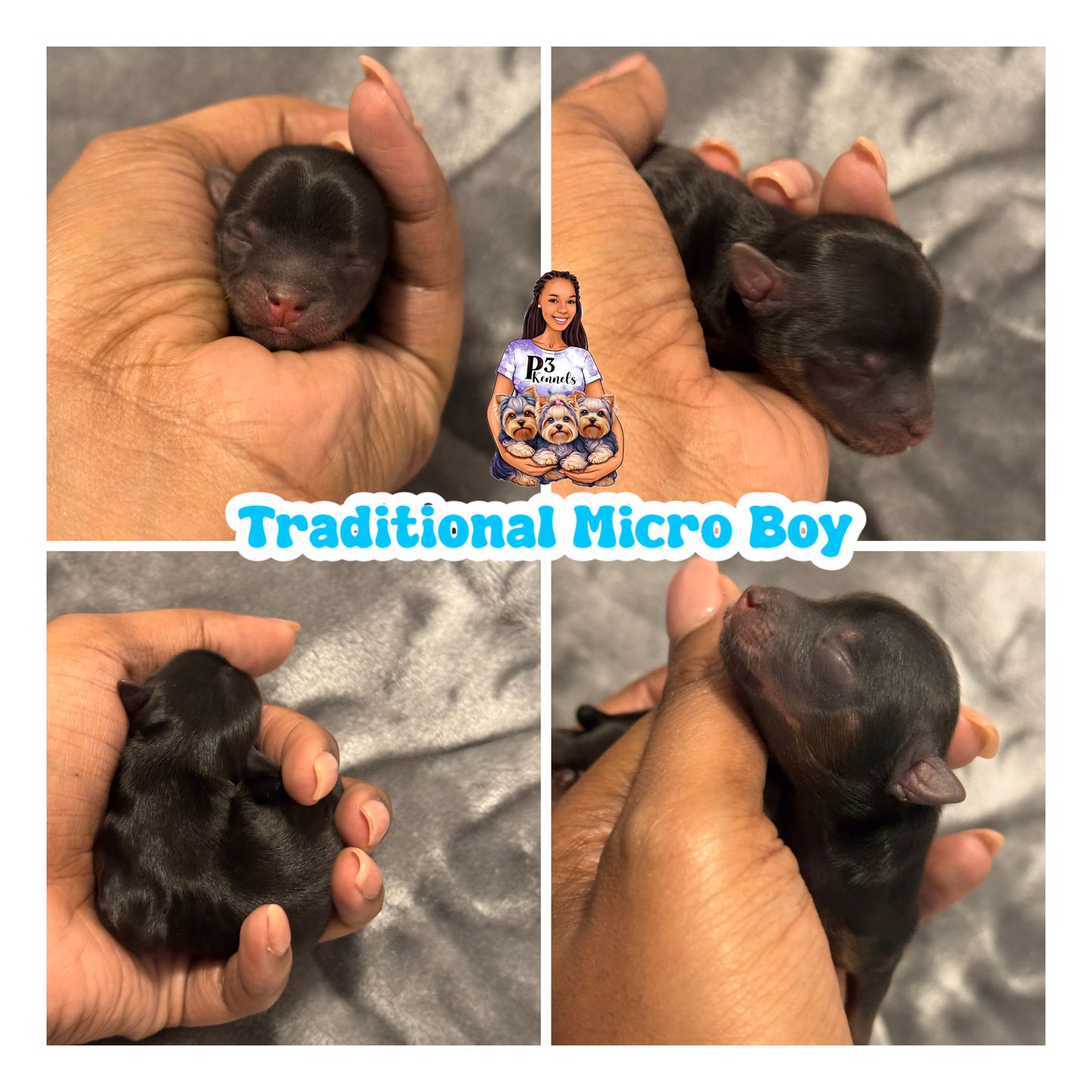 Traditional Micro Boy