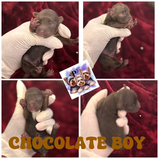 Thor $2500