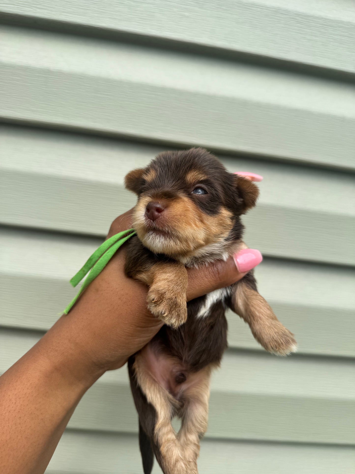 Green Boy