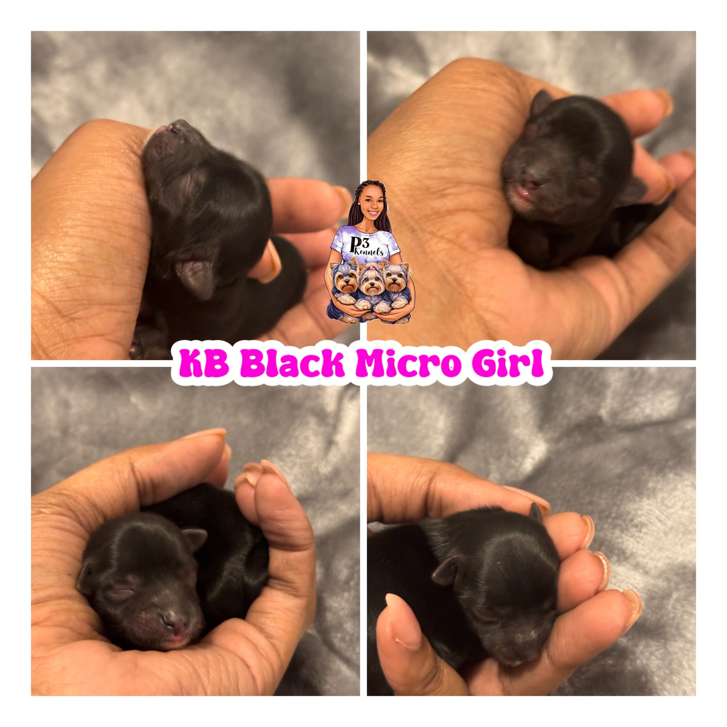 KB Black Micro Girl